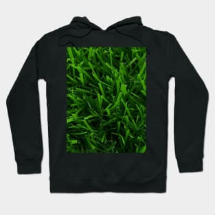 Fake Grass Hoodie